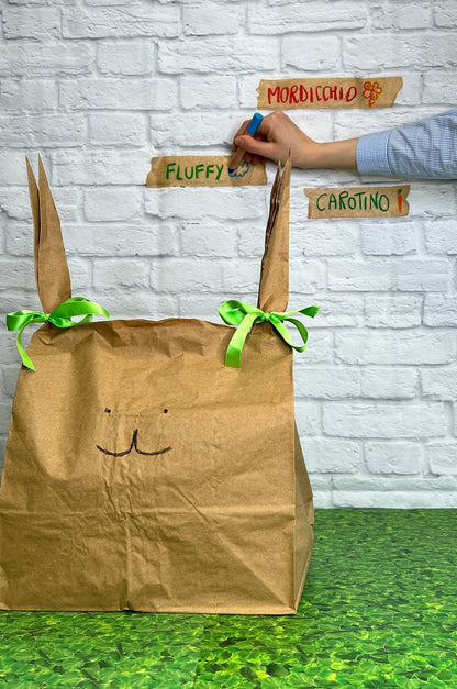 Il conigliotto Fluffy (dai 10 anni in su)