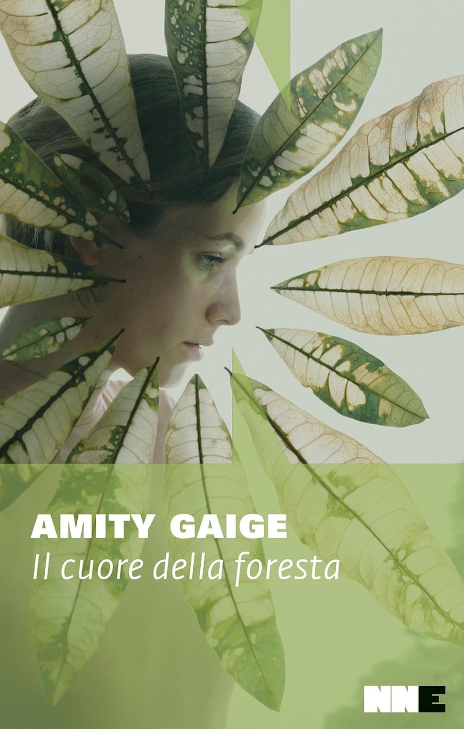 Il cuore della foresta, di Amity Gaige