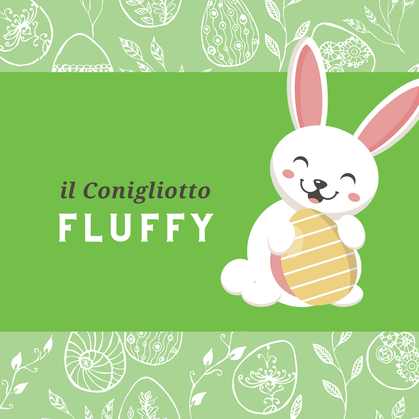 Il conigliotto Fluffy (dai 10 anni in su)